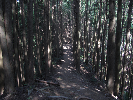 20150929hike (43)